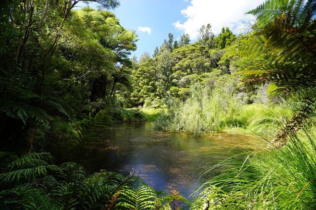 DSC01121_NgaTapuwaeOToi