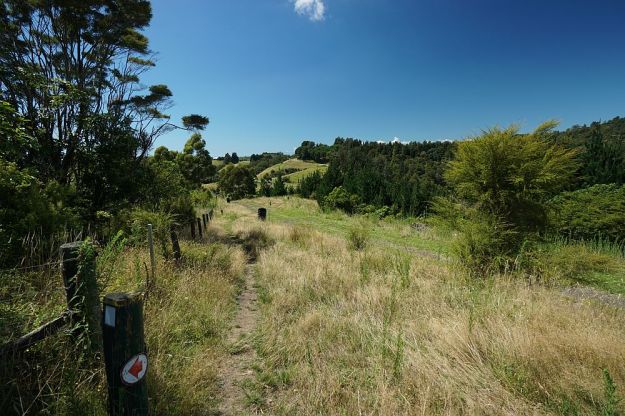 DSC01124_NgaTapuwaeOToi