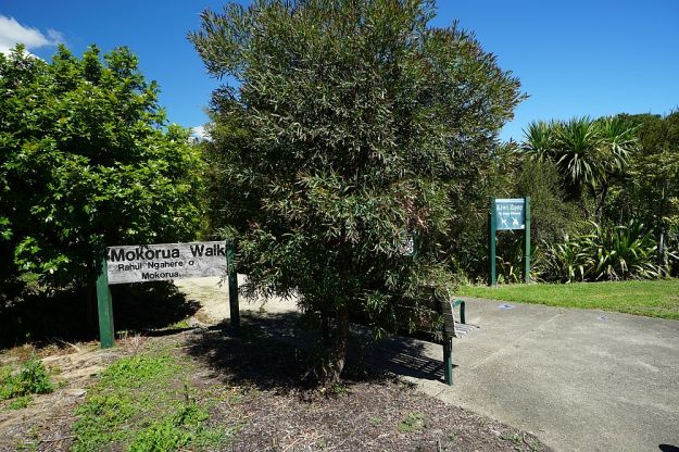 DSC01126_NgaTapuwaeOToi