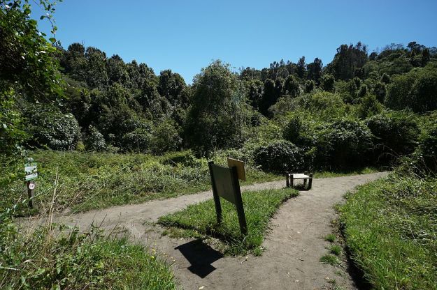 DSC01129_NgaTapuwaeOToi