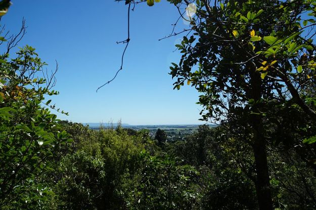 DSC01130_NgaTapuwaeOToi