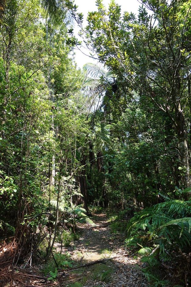 DSC03090_OkatainaWestern