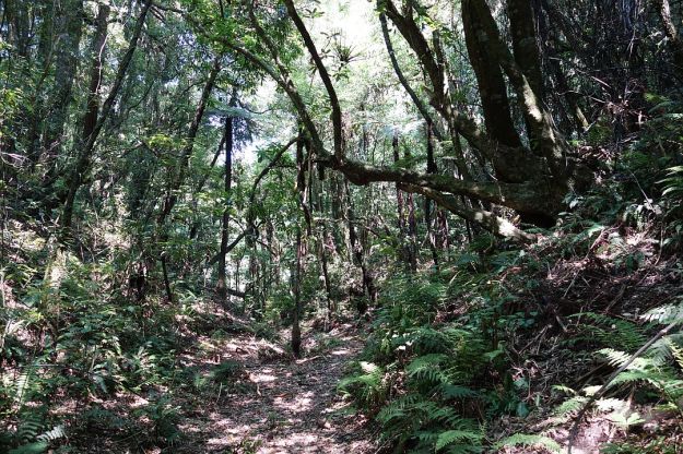 DSC03092_OkatainaWestern