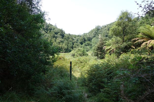 DSC03093_OkatainaWestern