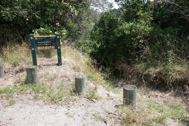 DSC03096_OkatainaWestern