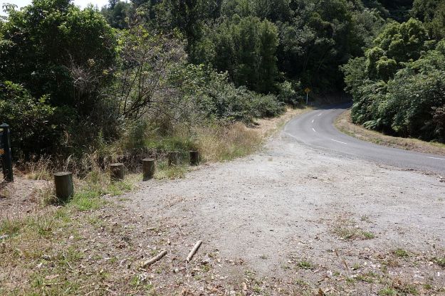 DSC03097_OkatainaWestern