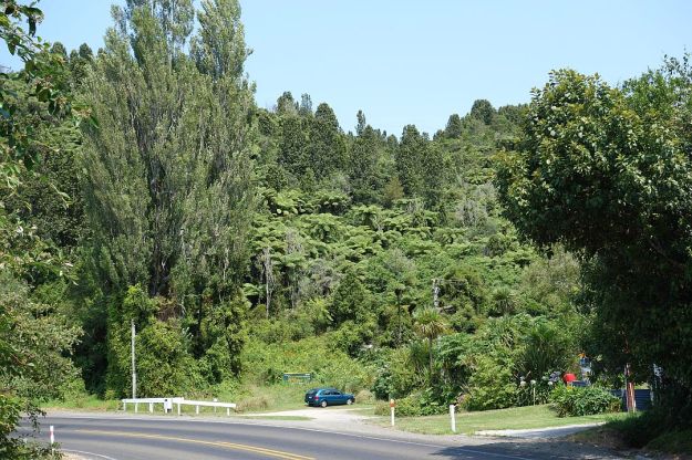 DSC03103_OkatainaWestern