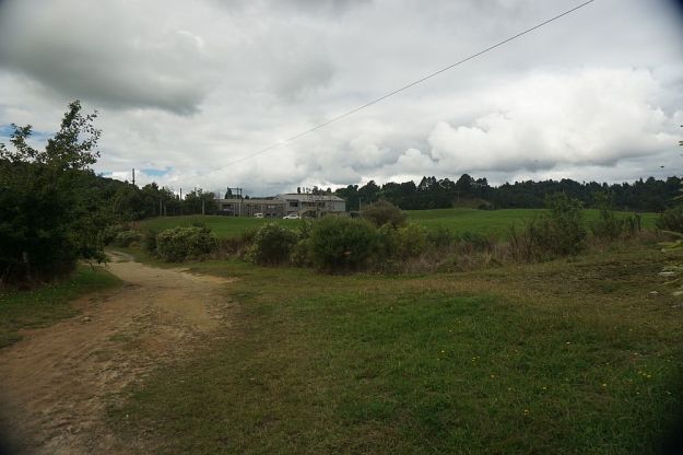 DSC01148_Ngamuwahine