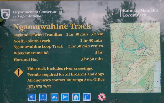 DSC01151_Ngamuwahine