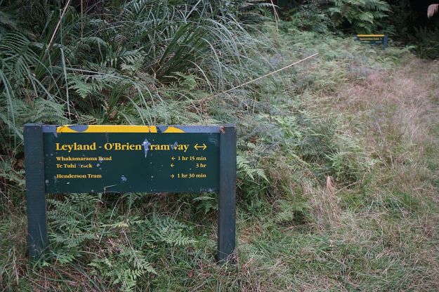 DSC01166_Ngamuwahine