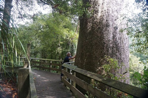 DSC01216_Tuahu_SentinelRock