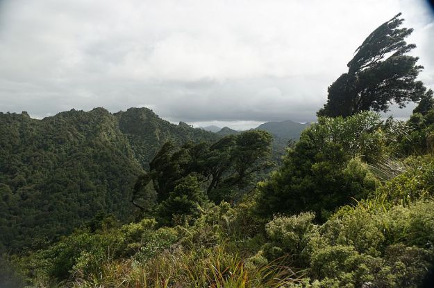 DSC01224_Tuahu_SentinelRock