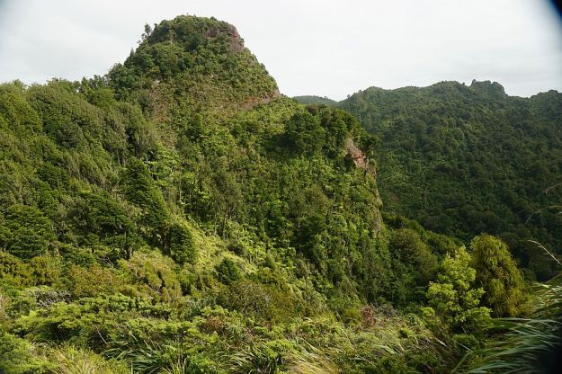 DSC01230_Tuahu_SentinelRock
