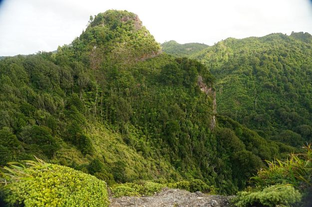 DSC01236_Tuahu_SentinelRock