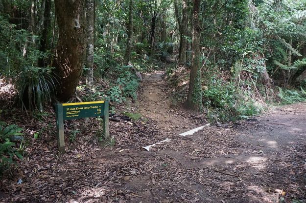 DSC01252_Tuahu_SentinelRock