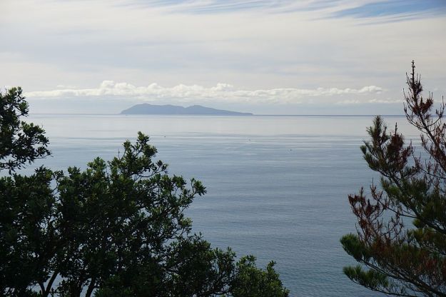 DSC01348_Orokawa_Homunga