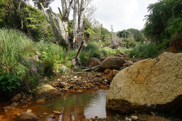 DSC01416_Orokawa_WilliamWright