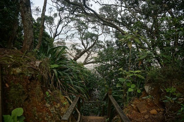 DSC01442_WaihiBchReservoir