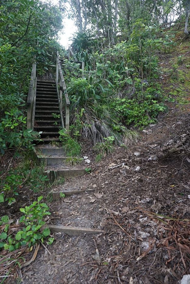 DSC01443_WaihiBchReservoir