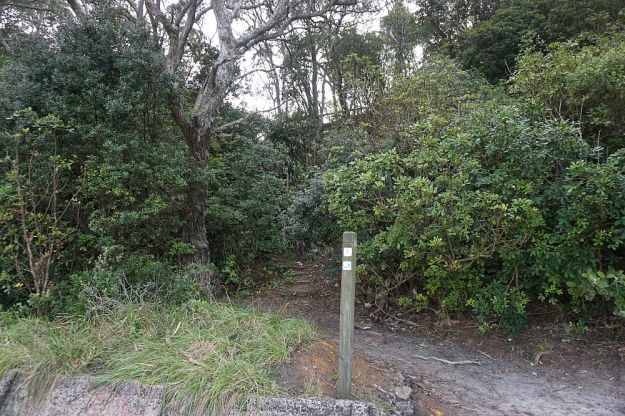 DSC01444_WaihiBchReservoir