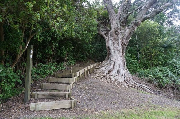 DSC01452_WaihiBchReservoir