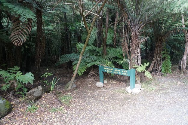 DSC01468_WentworthFalls