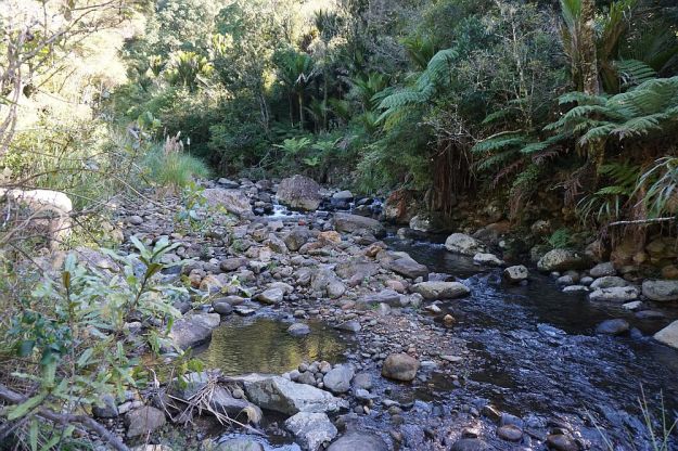 DSC01477_WentworthFalls