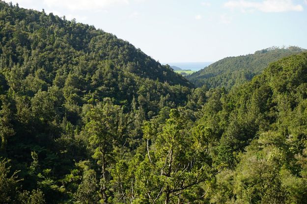 DSC01489_WentworthFalls