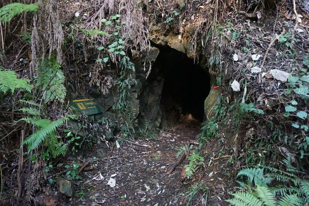 DSC01505_WentworthFalls