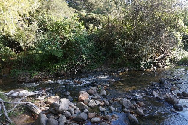 DSC01508_WentworthFalls