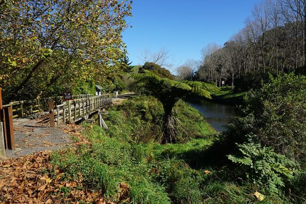 DSC01565_Karangahake_OwharoaFalls