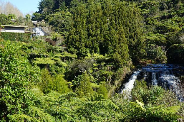 DSC01578_Karangahake_OwharoaFalls