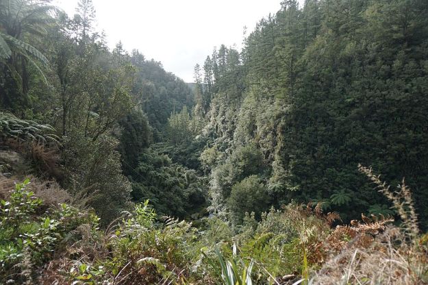 DSC01748_OmanawaFalls