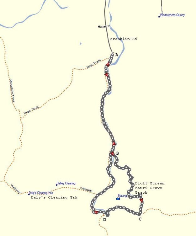 GPS_BluffStreamKauriLoop