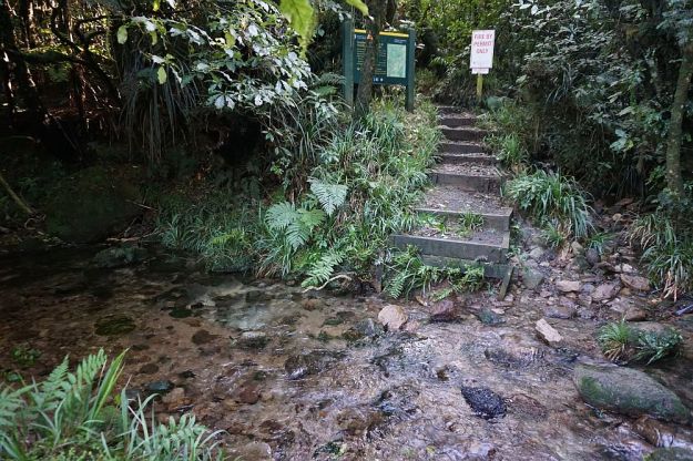 DSC02041_SH29_NorthSouth