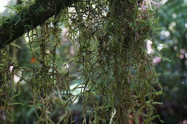 DSC02047_SH29_NorthSouth