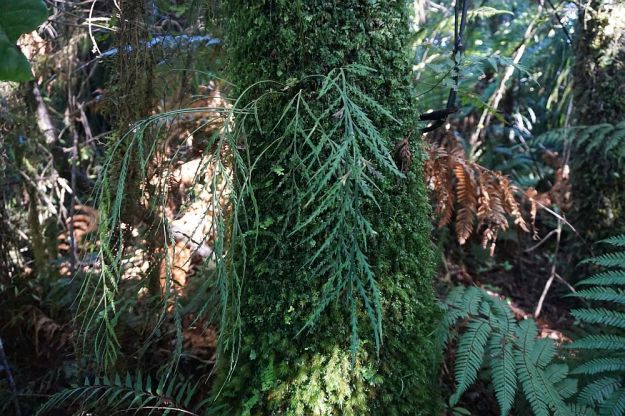 DSC02048_SH29_NorthSouth