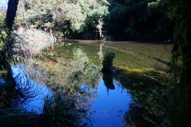 DSC02058_SH29_NorthSouth