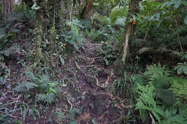 DSC02068_SH29_NorthSouth