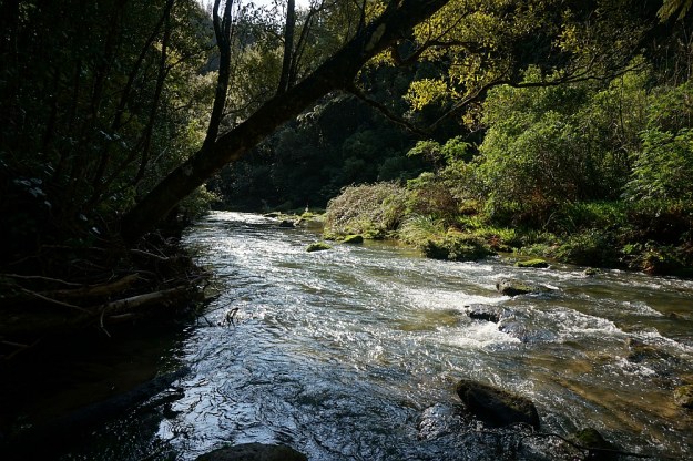 DSC02272_Raparapahoe