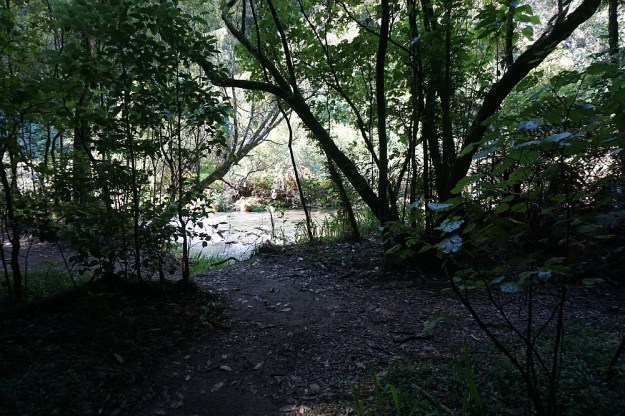 DSC02293_Raparapahoe