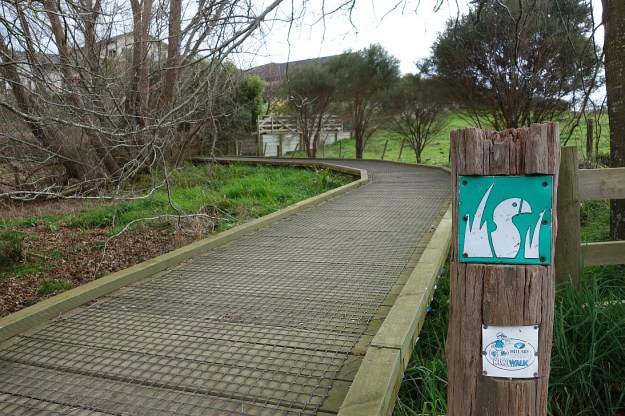 DSC03209_HowarthMemorialWetland