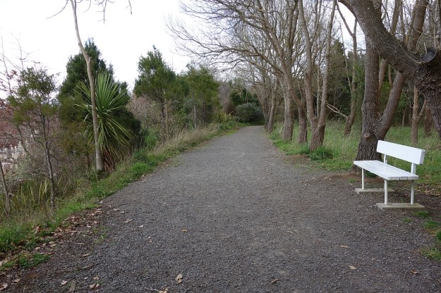 DSC03221_HowarthMemorialWetland