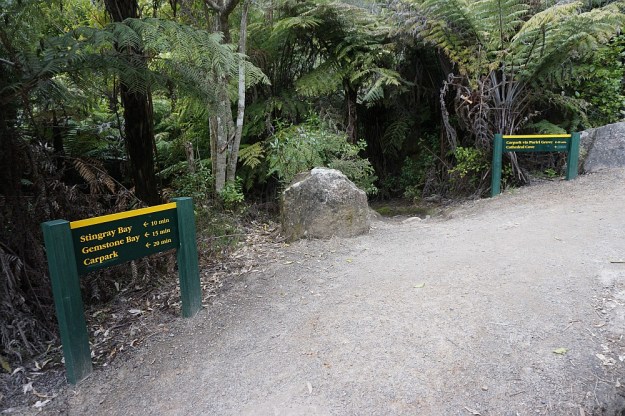 DSC02313_CathedralCove