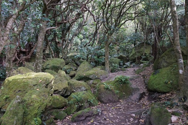 DSC02340_CathedralCove