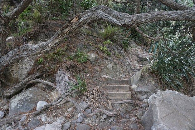 DSC02348_CathedralCove