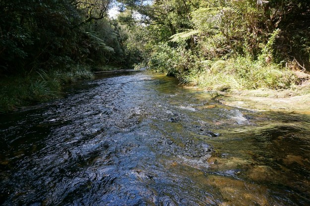 DSC02582_LeylandOBrien