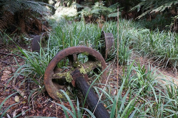 DSC02586_LeylandOBrien