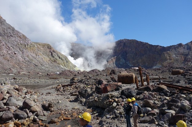 DSC03312_WhakaariWhiteIs