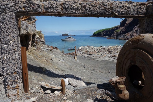 DSC03366_WhakaariWhiteIs